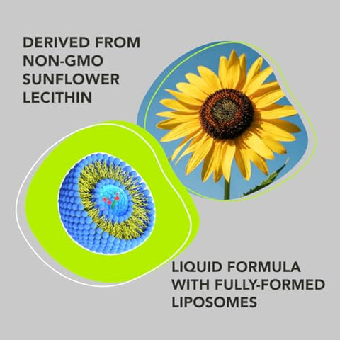 Liposomal Glutationa Líquida 500mg. Suporte Imunológico, Saúde Cerebral, Desintoxicação Hepática, Saúde da Pele. Fosfatidilcolina de Girassol Não-OGM - AMANDEAN