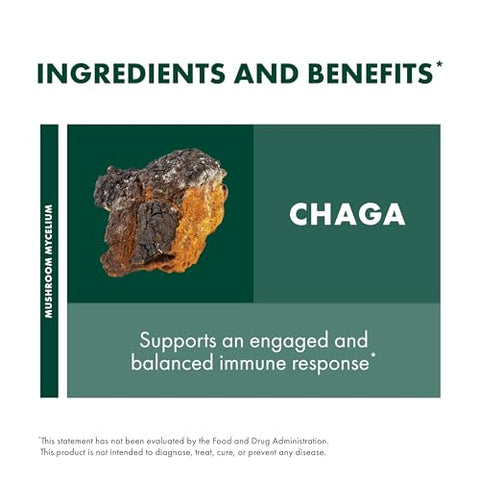 Chaga em Pó – Suporte ao Sistema Imunológico – Pó de Cogumelo Chaga para Atividade Antioxidante – Suplemento Alimentar – 100g (66 Porções) - Host Defense