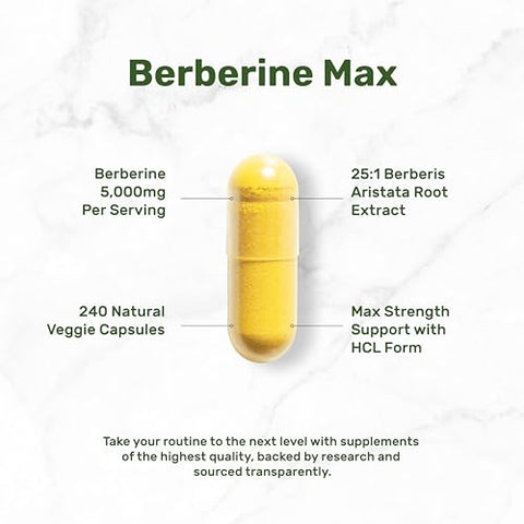 Berberine Max – 5,000mg por Porção – 240 Cápsulas Vegetarianas – 97%% Puro Berberine HCL – Extrato de Raiz 25:1 – Amigo dos Vegetarianos, Não-OGM - DEAL SUPPLEMENT