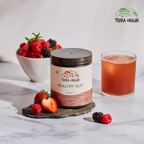 Pó para Saúde Intestinal (Sabor de Frutas Vermelhas) | 30 Porções com L-Glutamina, Zinco, Glucosamina, Casca de Ulmeiro, Raiz de Althaea e Mais! - TERRA ORIGIN