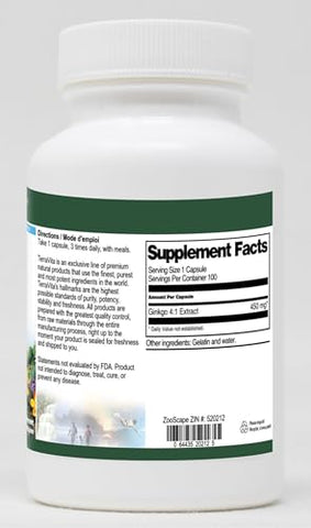 Terravita - Ginkgo 4:1 – 450 mg (100 Cápsulas) – 2 Pacotes | Ginkgo Biloba 4:1 Concentrado | Saúde Cerebral | Memória e Concentração | Antioxidante Natural