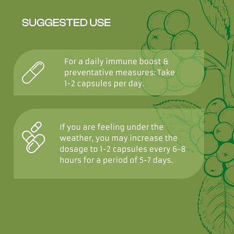 Only Nutri Labs - Tru Immunity: Cápsulas Veganas de Sambucus Elderberry com Suporte Imunológico, Vitamina C, Própolis e Beta Glucano – 60 Cápsulas