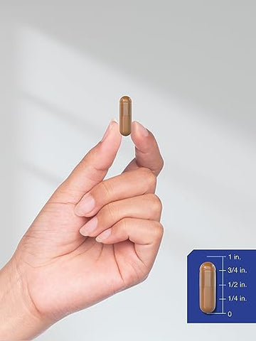Alpha GPC 600mg | 120 Cápsulas | Vegetariano, Não-OGM | Marca Horbäach - Horbäach