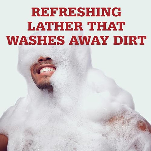 Fresher Collection Body Wash for Men, Fiji com Fragrância de Palmeira, 750 ml (Pack com 4 unidades) - Old Spice