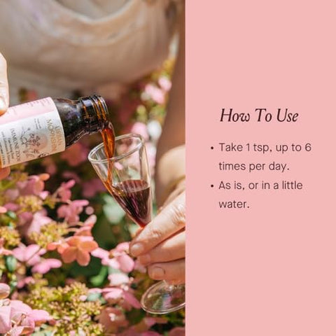 Immune Zoom – Estimula o Sistema Imunológico – Reforço Imunológico de Ação Rápida com Equinácea e Sabugueiro - Urban Moonshine