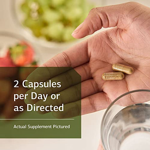 Standard Process Inc. - Neuroplex Standard Process – Suplementos para o Sistema Nervoso à Base de Alimentos Integrais, Saúde Cerebral e Suporte Cerebral com Tiamina, Musgo Espanhol, Riboflavina, Lactato de Cálcio, Vitamina B6, Niacina