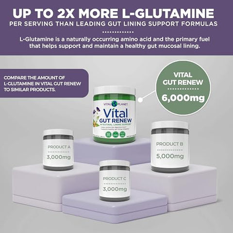 Renovação Vital do Intestino em Pó para Reparo do Intestino Permeável com L-Glutamina, Malva e Raiz de Gengibre, Raiz de Alcaçuz DGL e Aloe Vera Orgânica, L Glutamina 6000mg – Produto Vital Planet - Vital Planet