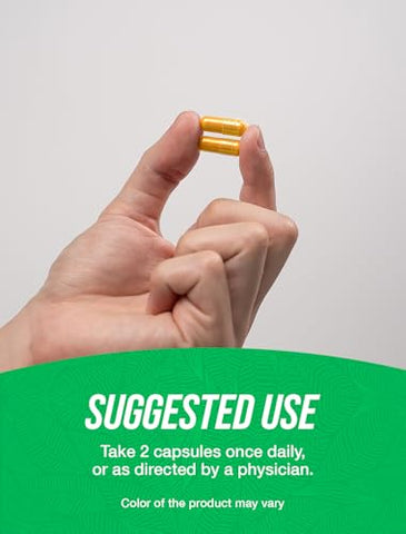 com Cápsulas de Extrato de Cúrcuma – Suplemento de Cúrcuma, Suplemento de Curcumina 1000mg – Livre de Glúten, 2 Cápsulas por Porção, 240 Cápsulas Vegetais (Pacote de 1) - BulkSupplements