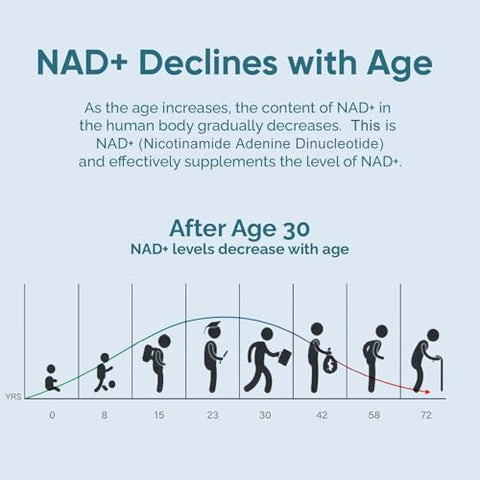 solodate lab - NAD Suplemento 1000mg, True NAD – Aumente sua energia e vitalidade com o melhor suplemento de NAD disponível – 60 cápsulas