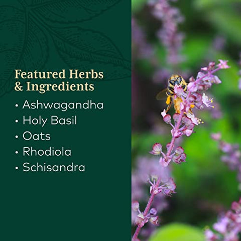 Pro Daytime HPA – Adaptogen: Energia Natural e Equilíbrio Hormonal - Gaia Herbs