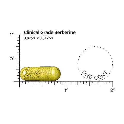 DR.WHITAKER - Dr. Whitaker Berberine Clínico de Grau | 1.500mg Por Porção Diária | Suprimento de 30 Dias