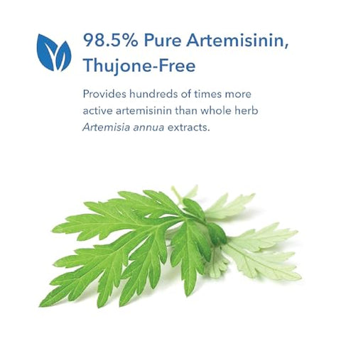 Artemisinina Allergy Research Group – Suporte para o Trato Gastrointestinal, Qinghaosu Puro de Artemisia annua, Livre de Tujona, Cápsulas Vegetarianas – 90 Unidades