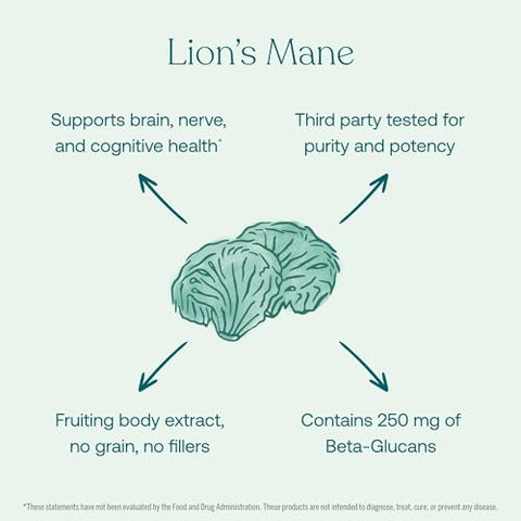 Lion’s Mane Cogumelo Cérebro, Nervo – 60g - True Grace
