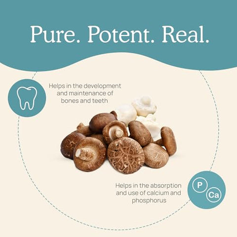 Vitamina D2 (120 un) Suplemento Vegano de Vitamina D – Orgânico 1000 UI Shiitake - Real Mushrooms