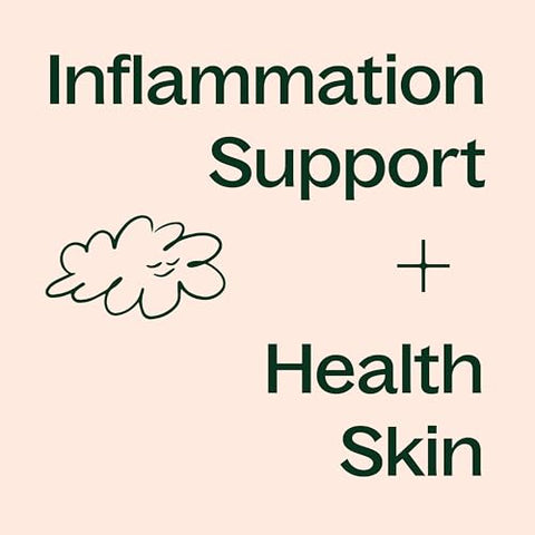Boswellia – Cápsulas de Suplemento Herbal, Suporta Flexibilidade e Conforto das Articulações, Alivia Desconfortos, Promove Pele Saudável e Limpa, 120 Cápsulas Vegetarianas (4 Meses) - Plant Therapy
