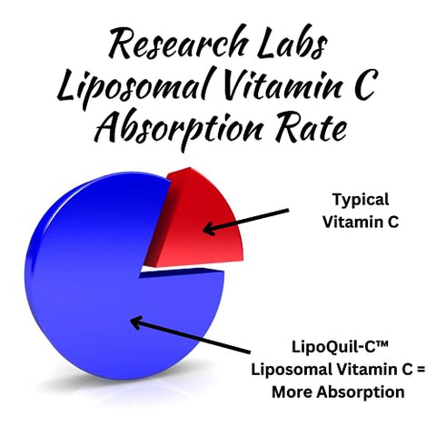 Research Labs - Pesquisa Labs Liposomal Vitamina C Suplemento c/ Absorção Aprimorada LipoQuil-C™ | 2 por 1 ad 240 Cápsulas Total Suporte Imunológico Colágeno Booster | Alta Dose Fat Soluble Vita C