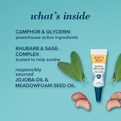 Burt's Bees - Burt’s Bees Tratamento para Feridas Frias e Bálsamo Labial Medicado, Com Mentol e Óleo de Eucalipto, Produtos de Cuidados com a Pele de Origem Natural, 2 Tubos, 0,07 oz./0,15 oz