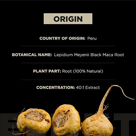 TERRA ELMNT - ELMNT 40,000mg 40x Força Raiz de Maca Preta Orgânica com Ashwagandha – Cápsulas de Raiz de Maca Peruana de Maior Potência para Homens – Pó de Maca Peruana 100% Puro, Gelatinizado – 40g