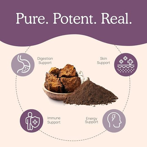 Chaga – Cápsulas Orgânicas de Cogumelo com Extrato de Chaga – Pó de Cogumelo Chaga para Digestão e Energia - Real Mushrooms