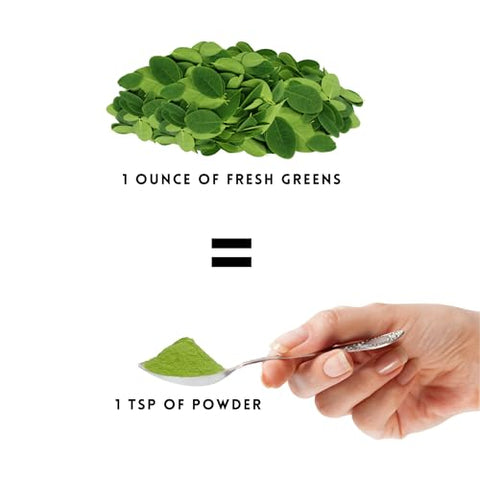 Feenlo - Blend em Pó de Moringa, Shilajit, Cúrcuma, Graviola, Gotu Kola e Amla Orgânico e Não-OGM | Poder Verde Apresentado em Embalagem de 3 Meses