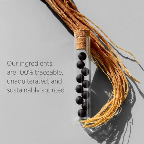 Qi ALCHEMY - Red Ginseng Pérolas Herbais [70 Unidades] Imunidade Diária – Marca Red Ginseng