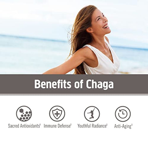 Mushroom Superfood Chaga Pó de Cogumelo Orgânico, 200g, 100 Porções, Cultivado nos EUA, Antioxidantes Sagrados - OM