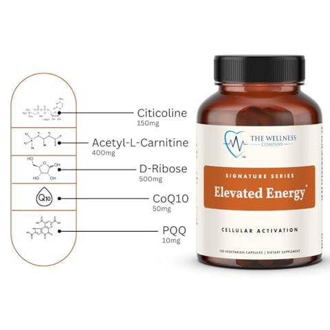Suplemento Energético Elevado | 120 Cápsulas 2 Meses | Estimulante Natural com Extratos de Ervas | Vegano, Não-OGM, Sem Glúten - The Wellness Company