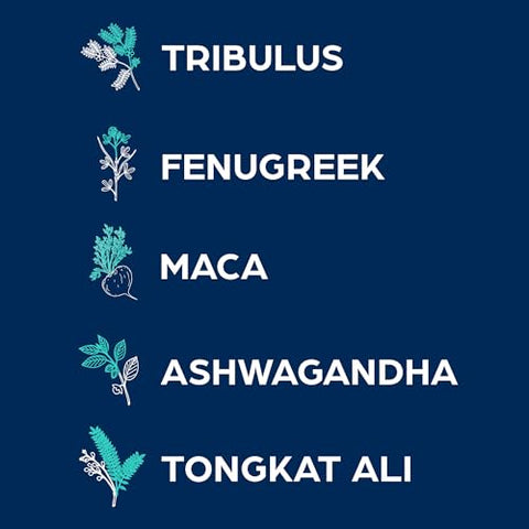 Rise: Aumente sua energia e desempenho com o poderoso suplemento de pré-treino - PS