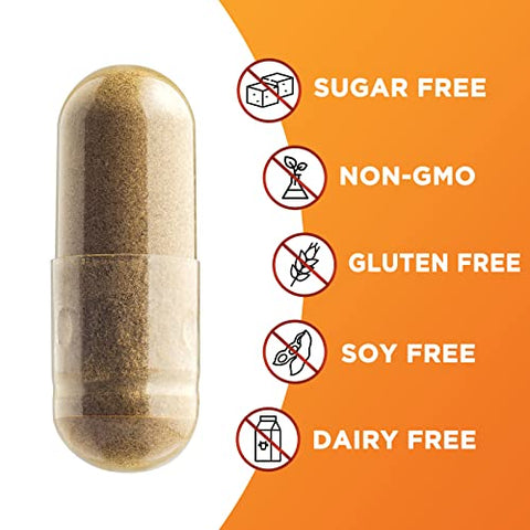 Nature's Nutrition - Cápsulas de Canela Pura Certificada Orgânica, Cápsulas de Canela Ceylon, Sem OGM, Sem Glúten, Sem Lactose, Suplemento em Pó de Canela do Sri Lanka, Melhores Vitaminas Veganas de Cinnamomum True