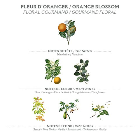 Recarga de Sabonete Líquido de Flor de Laranjeira Panier des Sens, Sabonete Líquido de Marselha – Fabricado na França 96% natural – 2x 500ml
