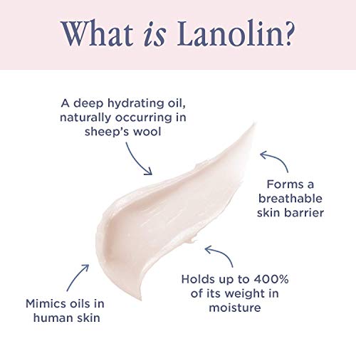 101 Ointment Multi-Balm Coconutter – Bálsamo Labial Frutado com Óleo de Vitamina E e Lanolina para Hidratação Labial – Bálsamo Labial de Lanolina com Sabor Natural para Lábios Muito Secos – 10g - Lanolips