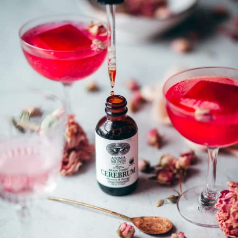 Anima Mundi Apothecary - Anima Mundi Cerebrum – Suplemento Líquido de Suporte Cognitivo com Lion’s Mane e Ginkgo – Potencializador Cerebral para Memória e Suporte Cognitivo – Gotas Líquidas