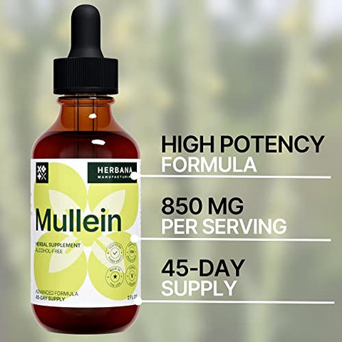 HERBANA MANUFACTURING - Gotas de Mullein 60 ml – Extra Forte 45 Dias – Desintoxicação Pulmonar