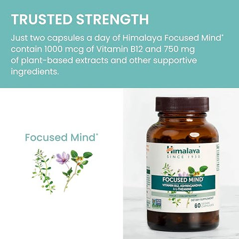 Focused Mind com Ashwagandha e Bacopa – Melhore sua Concentração e Foco Mental | 60 cápsulas | 100% Natural - Himalaya