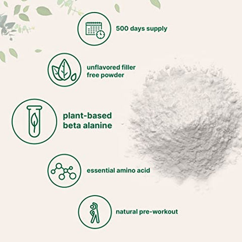 Micro Ingredients - Beta Alanine em Pó, Suplemento Puro de Beta Alanine, 2.2 Libras (500 Dias de Fornecimento), Livre de Preenchedores, Energia Amino Pré-Treino, Sem Sabor, Amigável ao Veganismo e Não-OGM