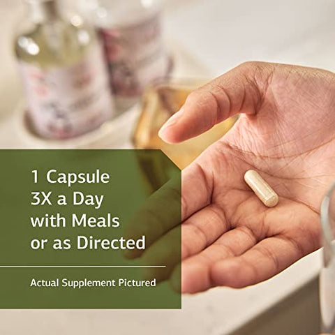 Standard Process Inc. - Standard Process – Enzycore – 150 Cápsulas | Fórmula Digestiva Avançada | Saúde Digestiva | 150 Cápsulas | Marca Standard Process