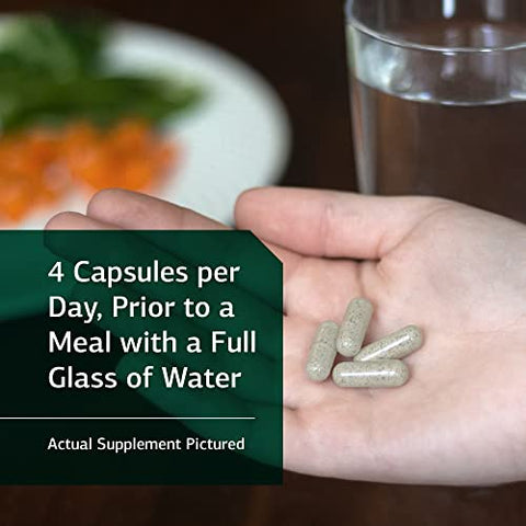 Standard Process Inc. - Standard Process – GI Adsorb para Saúde Gastrointestinal e Eliminação – Cálcio, Ferro, Clinoptilolita, Clorela, Suplemento de Raiz de Collinsonia – 112 Cápsulas