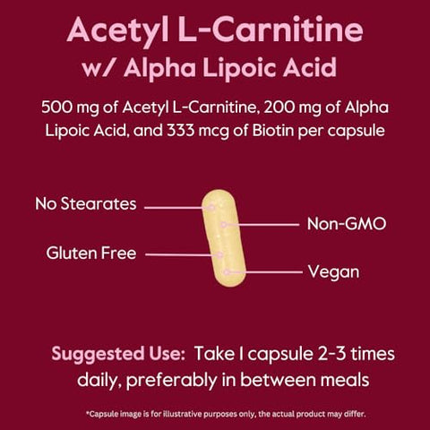 Acetyl L-Carnitine 500mg – Potencialize sua energia e desempenho físico - BESTVITE