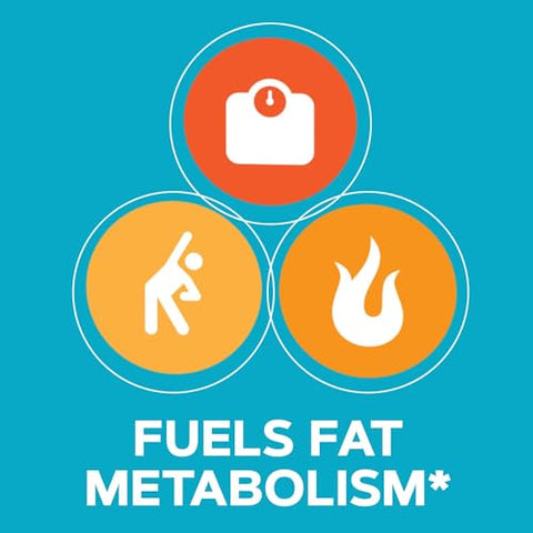 Total Lean Burn – Queime Gordura e Acelere o Metabolismo – 60 cápsulas - GNC