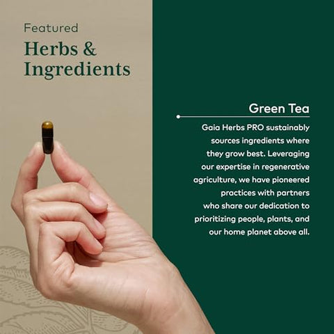 Pro Chá Verde – Suplemento Herbal de Chá Verde para a Saúde do Coração – Com Folha e Extrato de Chá Verde Orgânico – 60 Cápsulas Líquidas Veganas de Fitoterapia (30 Porções) - Gaia Herbs