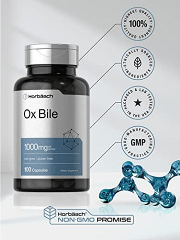Ox Bile 1000 mg 100 Cápsulas | Suplemento Enzimático Digestivo | Não-OGM | Horbäach Ox Bile 1000 mg 100 Cápsulas | Enzimas Digestivas | Não-OGM - Horbäach