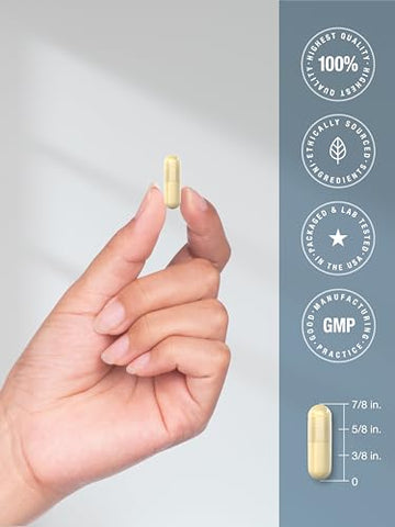 Beta Glucan 1 3D 700 mg | 90 Cápsulas | Beta 1,3, 1,6 D Glucan | Suplemento Sem OGM, Sem Glúten | Marca Horbäach - Horbäach