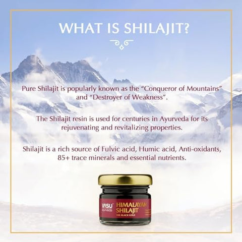 Ayurveda Shilajit Resina Himalaia Natural 100% Pura – Alta Potência, Testada em Laboratório – Forma Pura de Ácido Fúlvico – 100g - Vasu