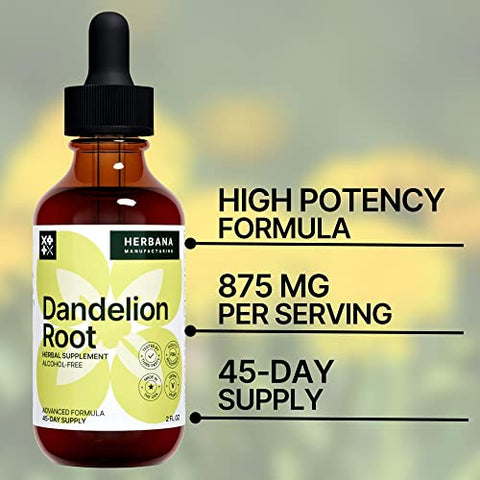 HERBANA MANUFACTURING - Extrato Líquido de Raiz de Dente-de-leão – Suplemento Herbal Natural para Limpeza e Função Digestiva – 100ml