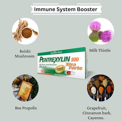 Pentrexylin - 500 Xtra Forte – Cardo de Leite Orgânico Reishi Mushroom – Suplemento Alimentar de Qualidade Premium – Suporta a Função Imunológica Saudável – 30 Cápsulas