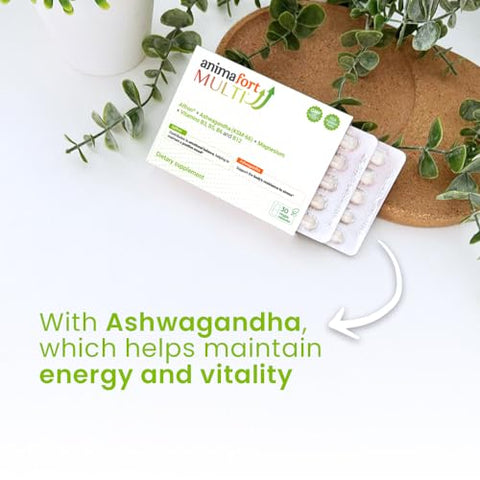 NIAM Laboratorios - Ashwagandha KSM-66: Potente Adaptógeno Natural para Equilíbrio e Bem-Estar