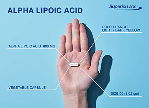 Alpha Lipoic Acid 600mg – Suprimento de 4 Meses – 120 Porções – Sem Aditivos Sintéticos – Suporta o Envelhecimento Saudável, Saúde Nervosa, Formigamento nos Pés e Mãos - Superior Labs