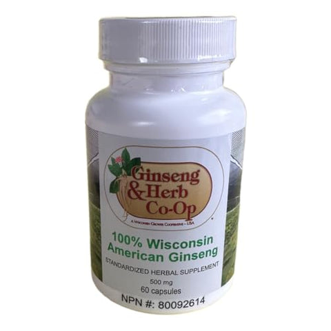 GINSENG & HERB CO-OP A WISCONSIN GROWER COOPERATIVE - USA - Cápsulas de Ginseng Americano Puro de Wisconsin – 500mg. Autêntico Panax Quinquefolius. Raiz de Ginseng Moída Potente – Sem Preenchedores, Ligantes ou Outros Aditivos