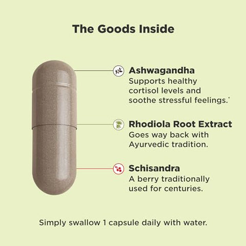 Chill Adaptogen – Ashwagandha e Rhodiola Root em Cápsulas Vegetarianas – 30ct - OLLY