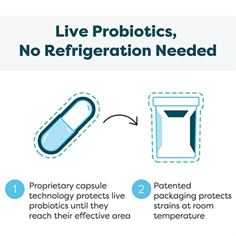 Ther-Biotic Probiótico Simbiótico – Fórmula Avançada com Probióticos e Prebióticos – 30 Cápsulas - Klaire Labs